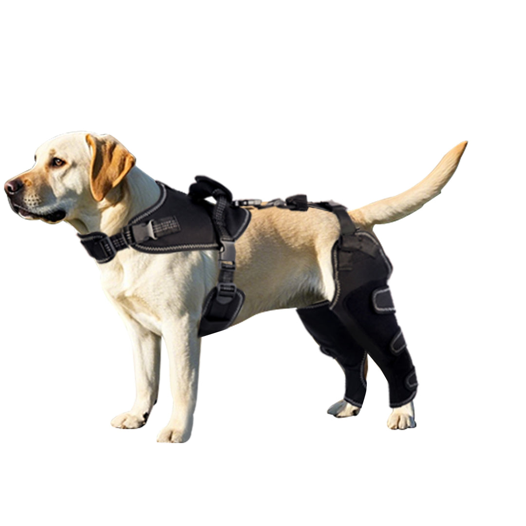 Neoprene-Tech Canine Knee Brace – Post-Surgery Stabilization & Pain Relief Support"