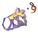Load image into Gallery viewer, Patented Elastic Buffer Layer Pet Safety Gear
