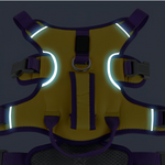 Load image into Gallery viewer, Patented Elastic Buffer Layer Pet Safety Gear
